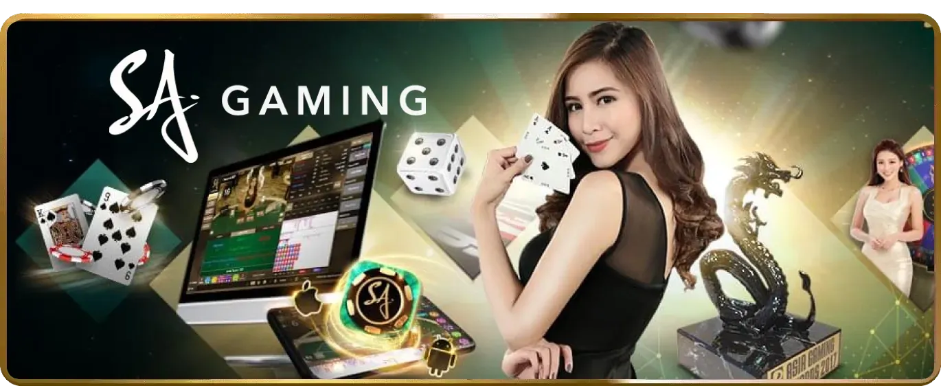 Biểu tượng bảo mật 33VIN