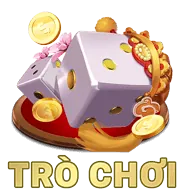Bảo mật thông tin 33VIN