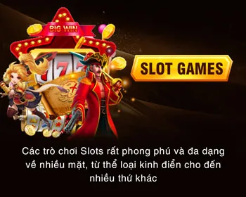 Đa kênh hỗ trợ 33VIN