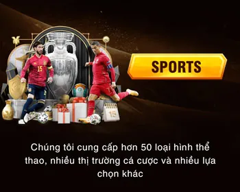 Hệ thống bảo mật 33VIN